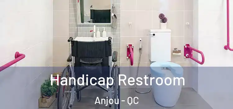  Handicap Restroom Anjou - QC